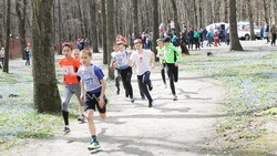 Яковлевский городской округ примет очередной традиционный марафонский пробег 4 августа