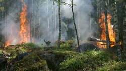 Президент РФ поручил регионам не забывать об угрозе пожаров и паводков