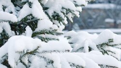 Коммунальщики Яковлевского городского округа подготовились к сильному снегопаду 13 января