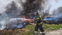 Особый противопожарный режим ввели в Белгородской области