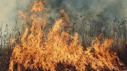 Белгородцев предупредили о чрезвычайной пожарной опасности 9 июня 