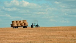 Программа льготного кредитования сельхозбизнеса продолжит действовать для белгородцев в 2023 году