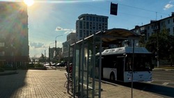 Новые комфортабельные автобусы выйдут на маршруты в Белгородской области