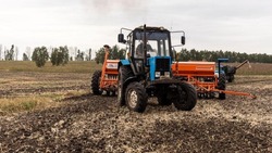 Белгородские аграрии завершили весеннюю подкорму озимых культур