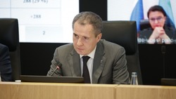 Вячеслав Гладков сообщил о выделении 67 участков под жильё для многодетных семей 