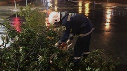 Все оперативные службы Белгорода приступили к ликвидации последствий стихии