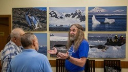 Белгородцы смогут посетить выставку «Антарктический круиз»