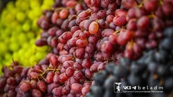 Более 300 сельскохозяйственных ярмарок провели в Белгородской области