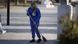 Белгородские школьники смогут получить почётный знак «Юный доброволец Белгородчины»