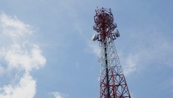 Вячеслав Гладков сообщил о завершении установки 85 вышек сотовой связи