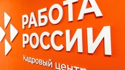 Службы занятости населения трудоустроили более 44 тысяч белгородцев 