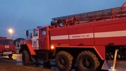 Женщина погибла при пожаре в Яковлевском округе