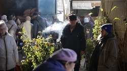 Более 1100 сельскохозяйственных ярмарок провели в Белгородской области за год