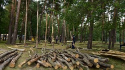 Новые деревянные качели появятся в Центральном парке Белгорода