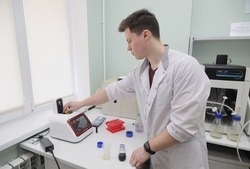 Белгородские учёные выявили штамм бактерии с большим биотехнологическим потенциалом