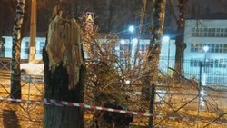 Вячеслав Гладков озвучил последствия урагана в Белгородской области 