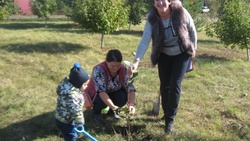 Родители новорождённых высадили именные деревья под знаком 65-летия образования региона