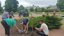 Первый масштабный субботник проведут в Белгороде 11 апреля