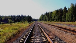 Жители Белгородской области стали чаще ездить на пригородных поездах