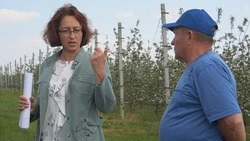 Жанна Замулина: «В отрасли сельского хозяйства трудятся самоотверженные люди»