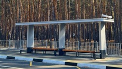 53 новые автобусные остановки построили в Белгородской области 