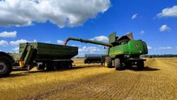 Белгородские аграрии выполнили уборку зерновых и зернобобовых культур на 98% 