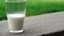 Власти РФ утвердили условия выдачи молока за вредность