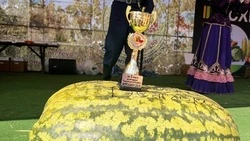 Белгородец вырастил арбуз-гигант весом 64,2 кг и стал чемпионом России