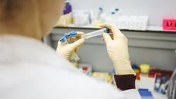 Более 660 тысяч белгородцев привились первым компонентом вакцины от коронавируса