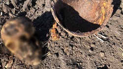 Поисковики обнаружили останки двух красноармейцев в Яковлевском городском округе