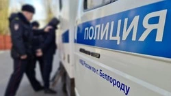 Полиция оштрафовала мужчину за срыв роз с городской клумбы в Белгороде 