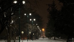 Рабочие выполнили обустройство опор наружного освещения в центральном парке Белгорода на 85%