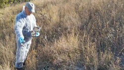 Норок и выдр начали считать в белгородских охотничьих угодьях 