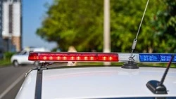 Белгородские госавтоинспекторы поймали семь водителей со скрытыми и видоизменёнными номерами