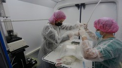 Уникальная передвижная ветеринарная лаборатория появилась в НИУ «БелГУ» в рамках нацпроекта