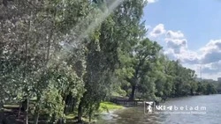 Белгородцев предупредили об усилении ветра 1 июля 