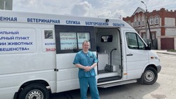 Бесплатную выездную вакцинацию животных против бешенства проведут в Белгороде