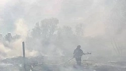 Власти продлили особый противопожарный режим в Белгородской области 