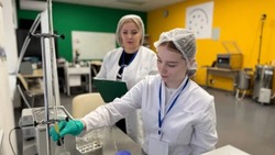 Региональный этап «Профессионалов» собрал более 600 белгородских конкурсантов 