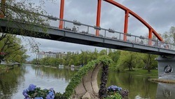 Вячеслав Гладков предложил выбрать название для пешеходного моста через Везёлку в Белгороде