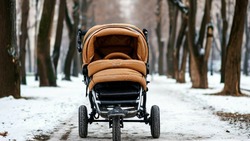 Три белгородки со «снежными» именами родились в 2024 году 