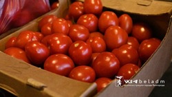 Сельскохозяйственная ярмарка пройдёт в Белгороде 5 апреля