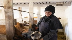 Белгородские монахини начали изготавливать молочную продукцию благодаря соцконтракту