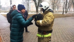 Яковлевские пожарные пришли на помощь кошке в городе Строителе