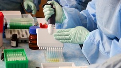Российские учёные начали клинические испытания универсальной назальной вакцины
