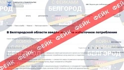 Белгородские власти развеяли фейк о введении налога на избыточное потребление