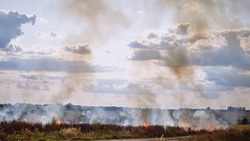 Власти ввели особый противопожарный режим на территории Белгородской области с 3 мая