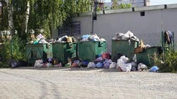 Жители города Строителя пожаловались на неприглядную контейнерную площадку на Юбилейной