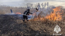 Семь загораний сухой растительности и мусора зарегистрировали в Белгородской области