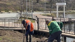 Белгородцы выбрали территории для благоустройства по нацпроекту в 2026 году 